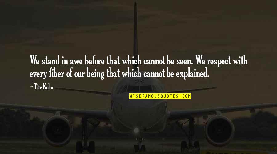 Flaps On A Plane Quotes By Tite Kubo: We stand in awe before that which cannot