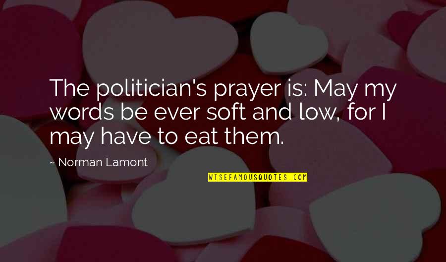 Flash Drive Quotes By Norman Lamont: The politician's prayer is: May my words be