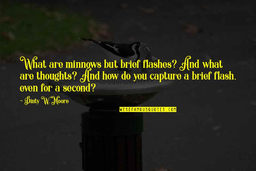 Flashes Quotes By Dinty W. Moore: What are minnows but brief flashes? And what