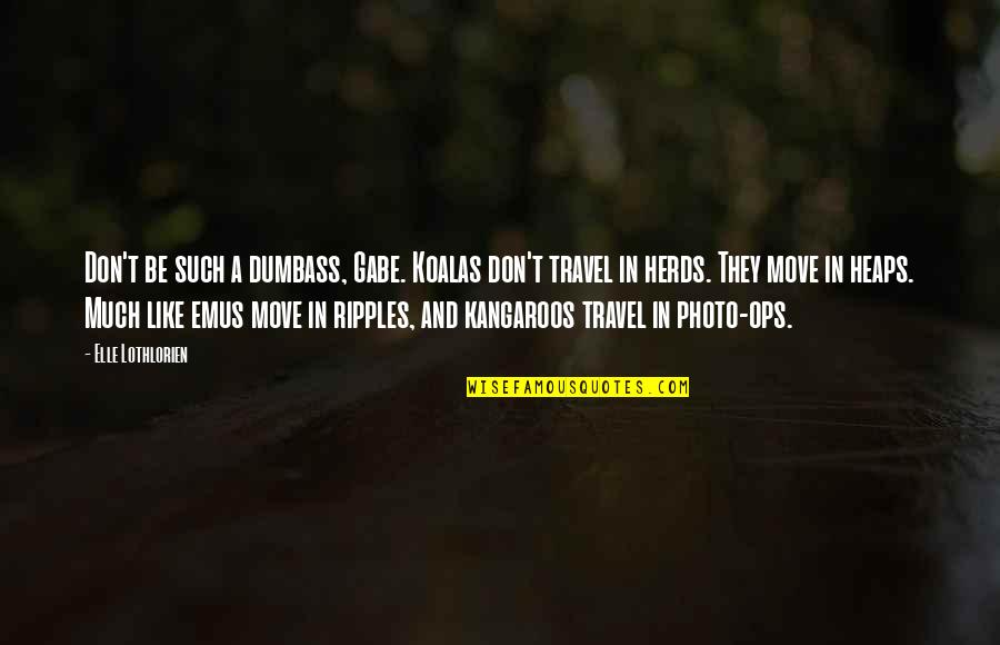 Flashiness Quotes By Elle Lothlorien: Don't be such a dumbass, Gabe. Koalas don't Flashiness Quotes By Elle Lothlorien: Don't be such a dumbass, Gabe. Koalas don't