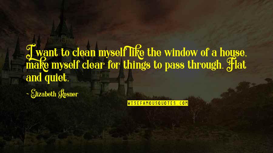 Flat Out Like A Quotes By Elizabeth Rosner: I want to clean myself like the window