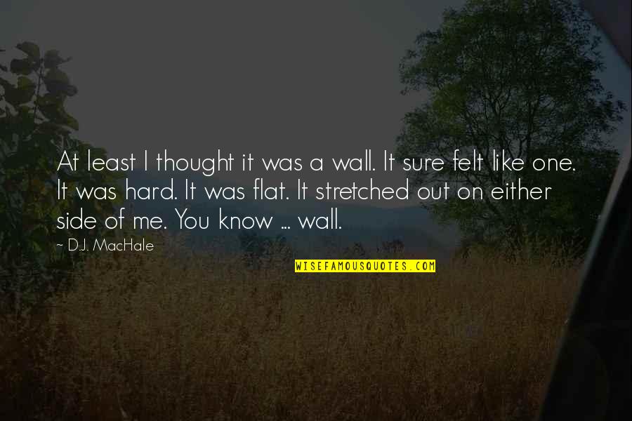 Flat Out Quotes By D.J. MacHale: At least I thought it was a wall. Flat Out Quotes By D.J. MacHale: At least I thought it was a wall.