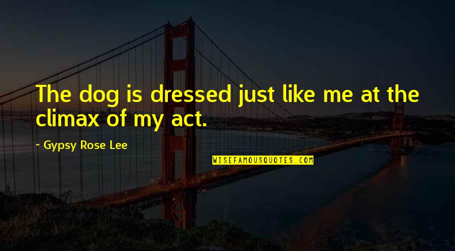 Flat Roof Quotes By Gypsy Rose Lee: The dog is dressed just like me at