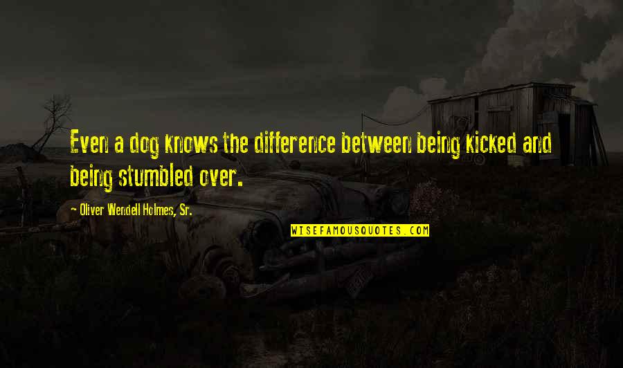 Flatboat Quotes By Oliver Wendell Holmes, Sr.: Even a dog knows the difference between being Flatboat Quotes By Oliver Wendell Holmes, Sr.: Even a dog knows the difference between being