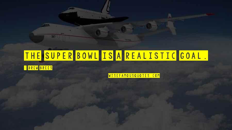 Flatfish's Quotes By Drew Brees: The Super Bowl is a realistic goal. Flatfish's Quotes By Drew Brees: The Super Bowl is a realistic goal.
