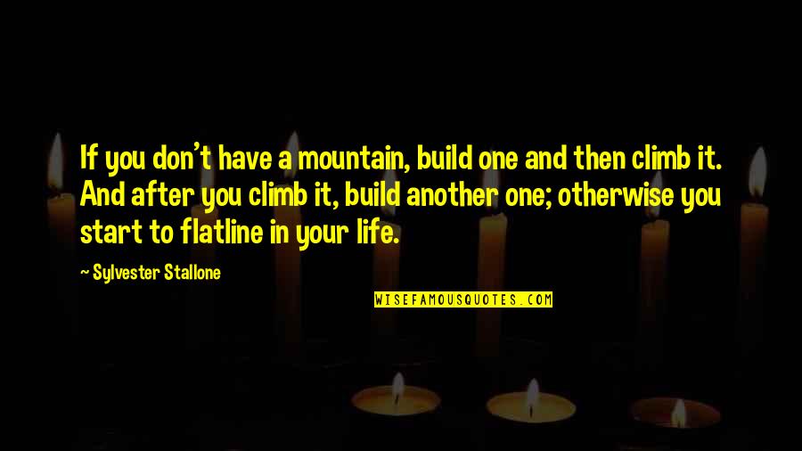 Flatline Quotes By Sylvester Stallone: If you don't have a mountain, build one