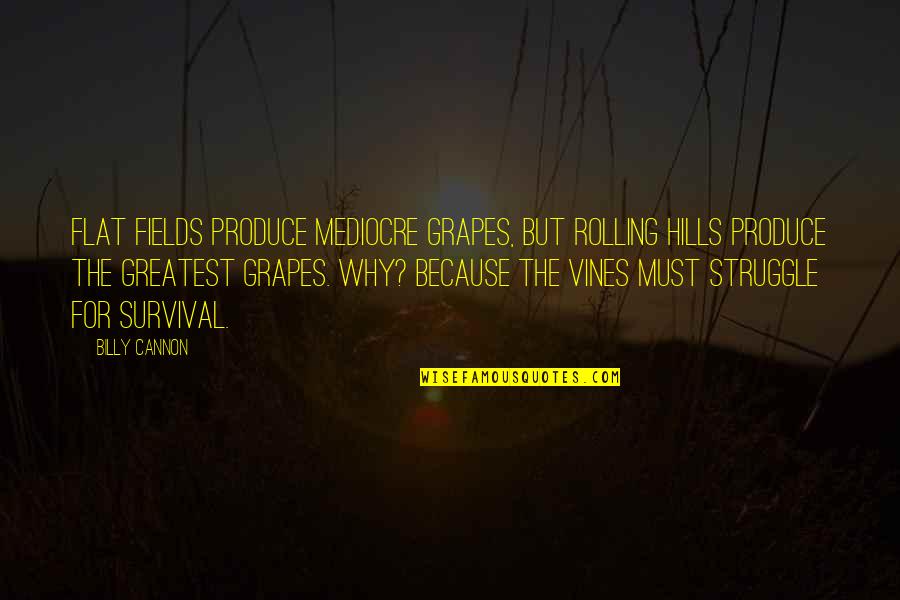 Flat'ning Quotes By Billy Cannon: Flat fields produce mediocre grapes, but rolling hills