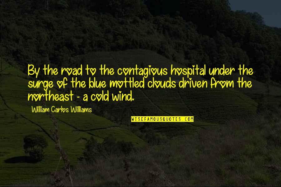 Flatong Quotes By William Carlos Williams: By the road to the contagious hospital under