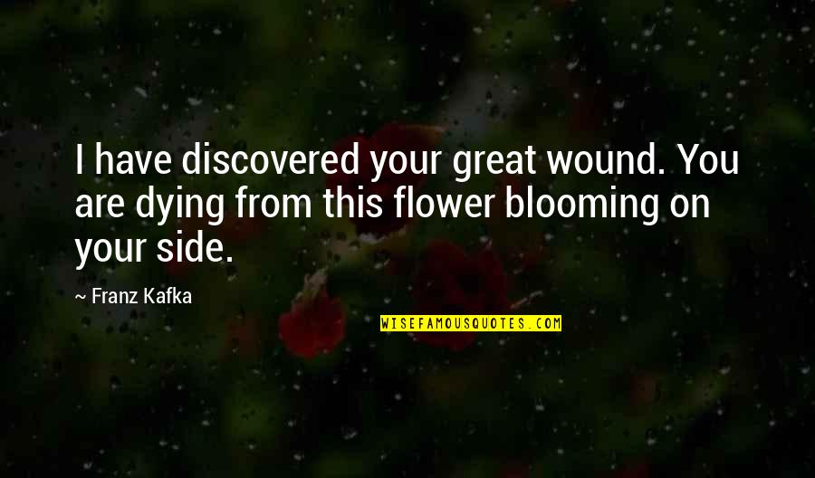 Flatted Quotes By Franz Kafka: I have discovered your great wound. You are