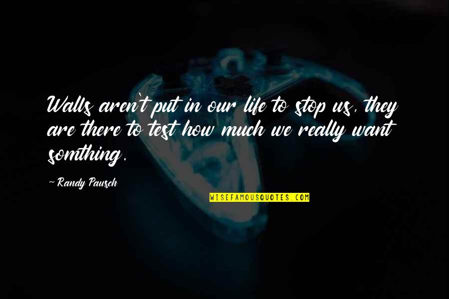Flavien Matheson Quotes By Randy Pausch: Walls aren't put in our life to stop Flavien Matheson Quotes By Randy Pausch: Walls aren't put in our life to stop