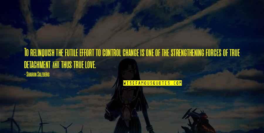 Flavins And Flavoproteins Quotes By Sharon Salzberg: To relinquish the futile effort to control change Flavins And Flavoproteins Quotes By Sharon Salzberg: To relinquish the futile effort to control change