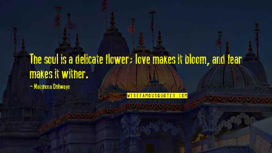 Flavorings Quotes By Matshona Dhliwayo: The soul is a delicate flower; love makes