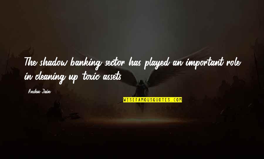 Flavouring Butterfly Quotes By Anshu Jain: The shadow banking sector has played an important