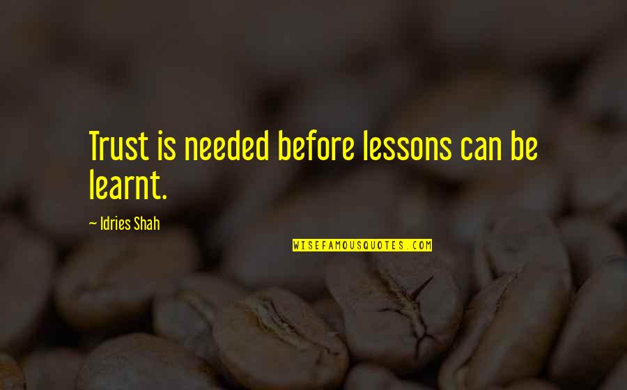 Flawed Person Quotes By Idries Shah: Trust is needed before lessons can be learnt.