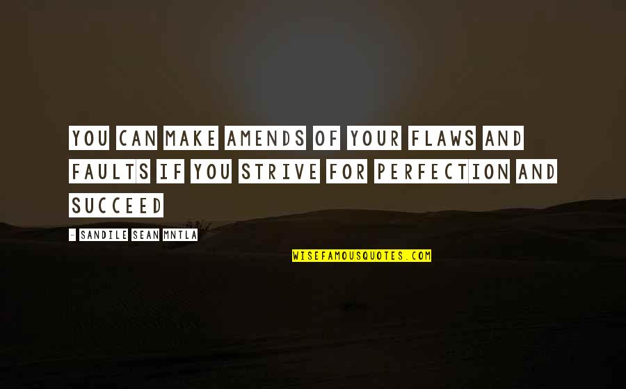 Flaws And Perfection Quotes By Sandile Sean Mntla: You can make amends of your flaws and