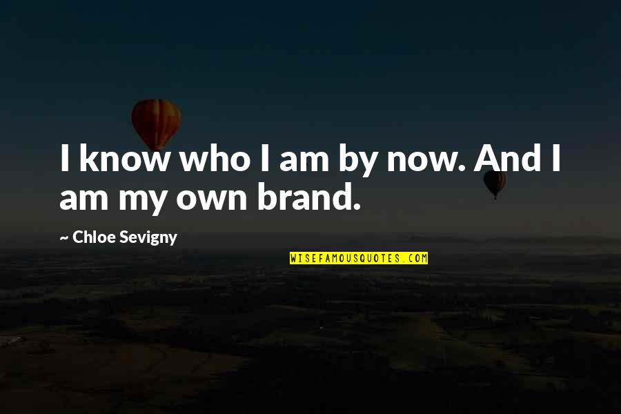 Flaws And Sins Quotes By Chloe Sevigny: I know who I am by now. And