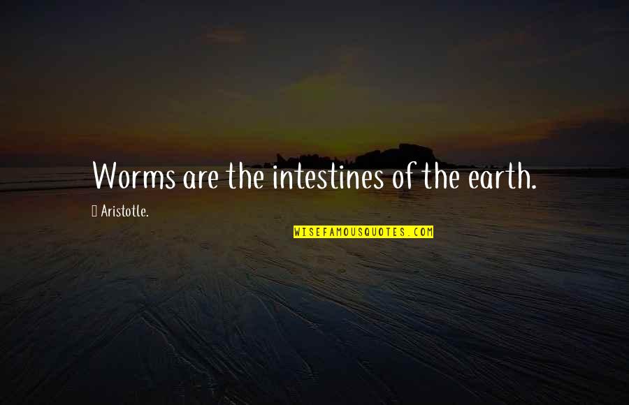 Flboe Quotes By Aristotle.: Worms are the intestines of the earth.