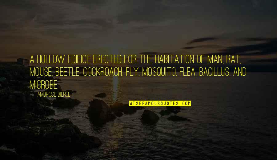 Flea Quotes By Ambrose Bierce: A hollow edifice erected for the habitation of