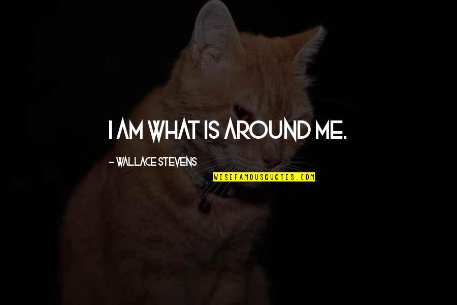 Fleckenstein Capital Quotes By Wallace Stevens: I am what is around me.