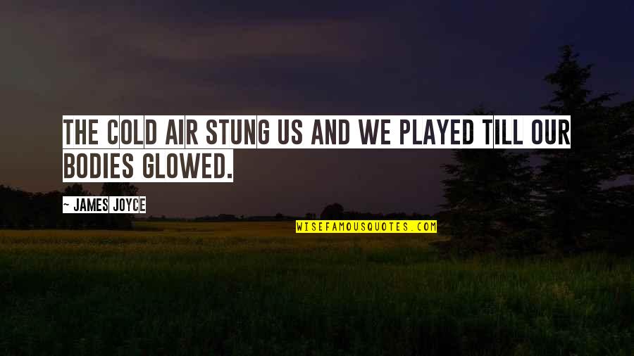 Flecter Quotes By James Joyce: The cold air stung us and we played