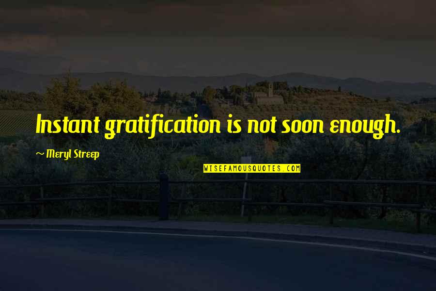 Fledglings Special Needs Quotes By Meryl Streep: Instant gratification is not soon enough.