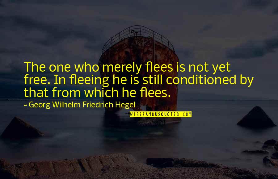 Fleeing's Quotes By Georg Wilhelm Friedrich Hegel: The one who merely flees is not yet