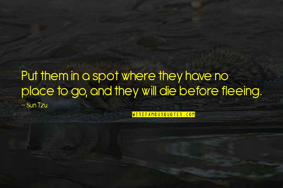 Fleeing's Quotes By Sun Tzu: Put them in a spot where they have