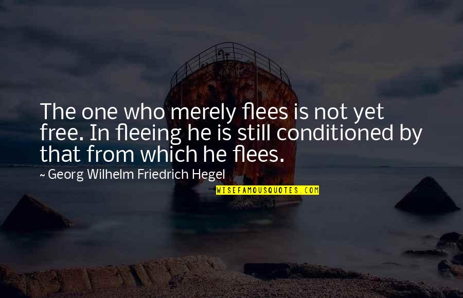 Flees Quotes By Georg Wilhelm Friedrich Hegel: The one who merely flees is not yet