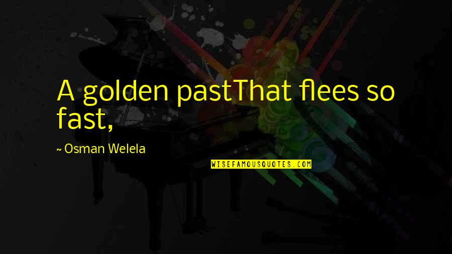 Flees Quotes By Osman Welela: A golden pastThat flees so fast,