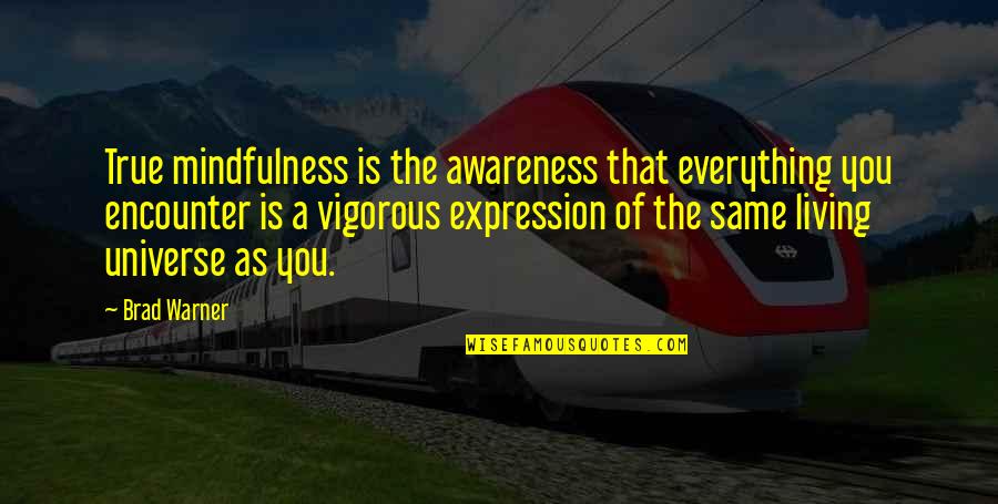 Fleeting Hope Quotes By Brad Warner: True mindfulness is the awareness that everything you Fleeting Hope Quotes By Brad Warner: True mindfulness is the awareness that everything you