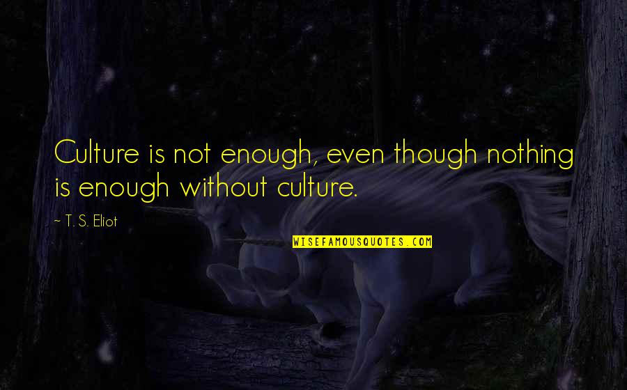 Flender Couplings Quotes By T. S. Eliot: Culture is not enough, even though nothing is