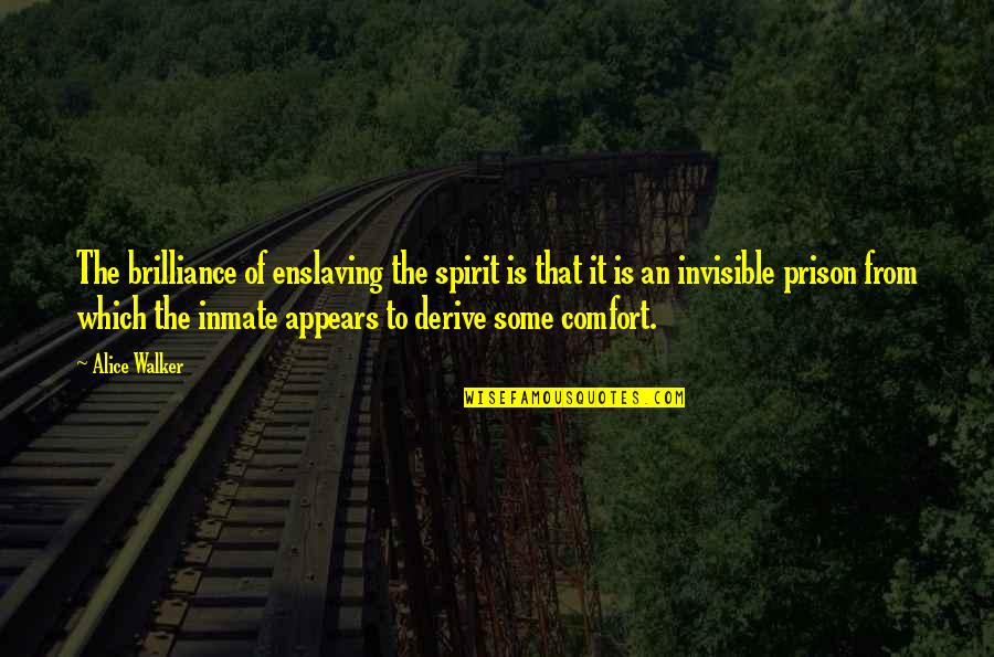 Fleschner Stark Quotes By Alice Walker: The brilliance of enslaving the spirit is that Fleschner Stark Quotes By Alice Walker: The brilliance of enslaving the spirit is that