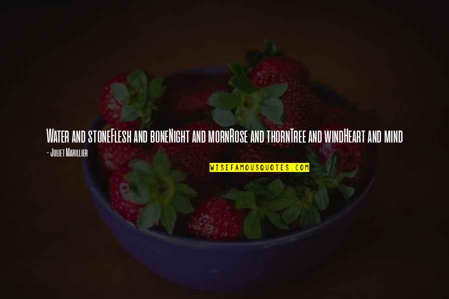 Flesh And Stone Quotes By Juliet Marillier: Water and stoneFlesh and boneNight and mornRose and Flesh And Stone Quotes By Juliet Marillier: Water and stoneFlesh and boneNight and mornRose and