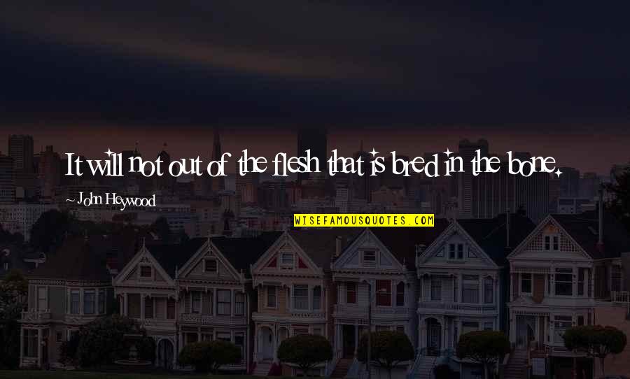 Flesh N Bone Quotes By John Heywood: It will not out of the flesh that Flesh N Bone Quotes By John Heywood: It will not out of the flesh that