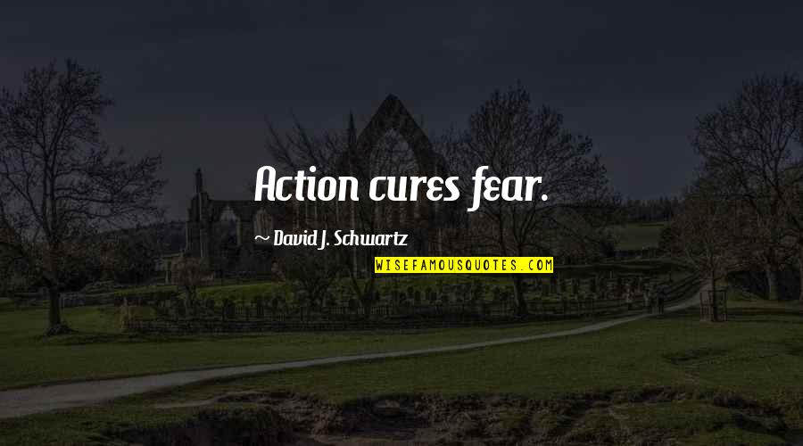 Fleshly Desires Quotes By David J. Schwartz: Action cures fear.