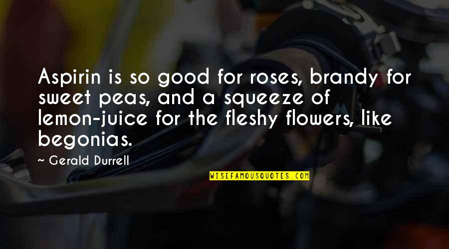 Fleshy Quotes By Gerald Durrell: Aspirin is so good for roses, brandy for
