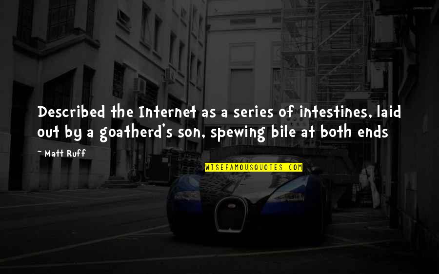 Flessas Lighting Quotes By Matt Ruff: Described the Internet as a series of intestines, Flessas Lighting Quotes By Matt Ruff: Described the Internet as a series of intestines,