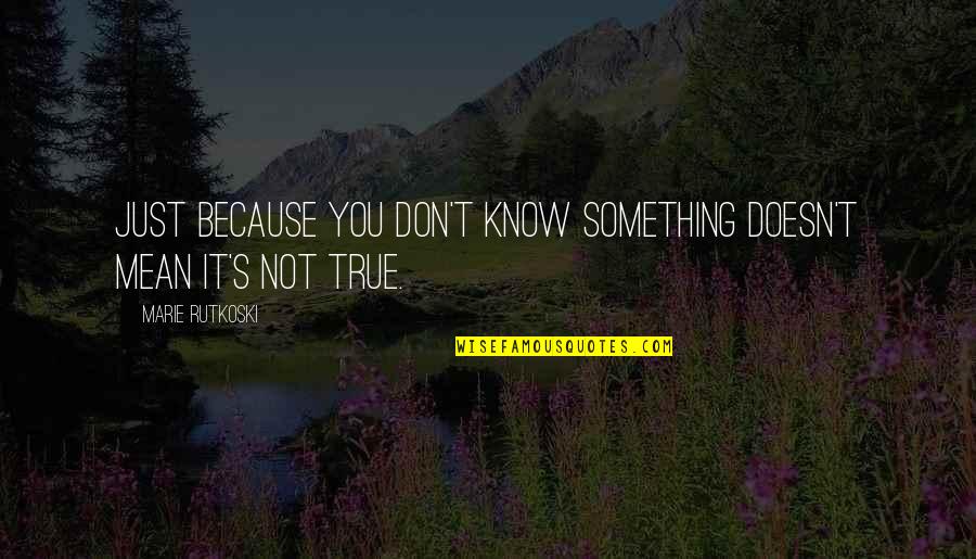 Fletcher Prouty Quotes By Marie Rutkoski: Just because you don't know something doesn't mean