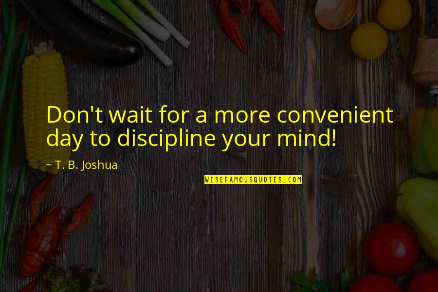 Flew Away Quotes By T. B. Joshua: Don't wait for a more convenient day to