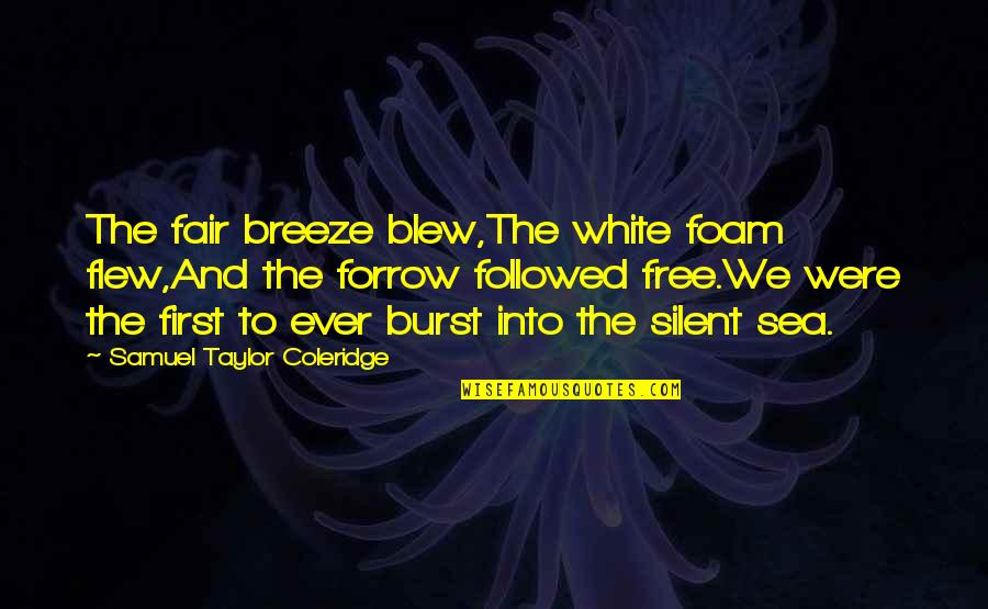 Flew'd Quotes By Samuel Taylor Coleridge: The fair breeze blew,The white foam flew,And the