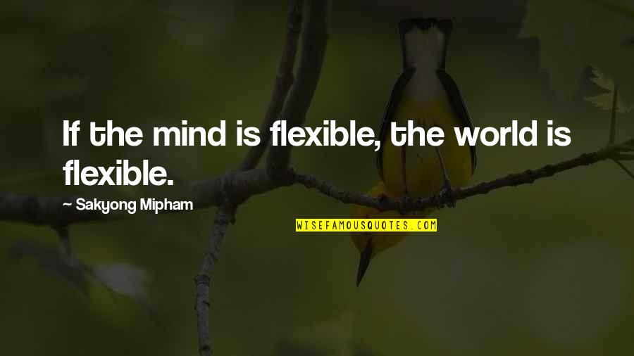 Flexible Quotes By Sakyong Mipham: If the mind is flexible, the world is