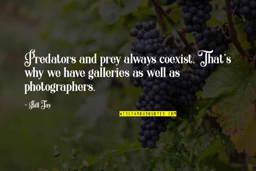 Flickr Funny Quotes By Bill Jay: Predators and prey always coexist. That's why we