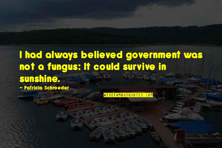 Fliegen In Der Quotes By Patricia Schroeder: I had always believed government was not a