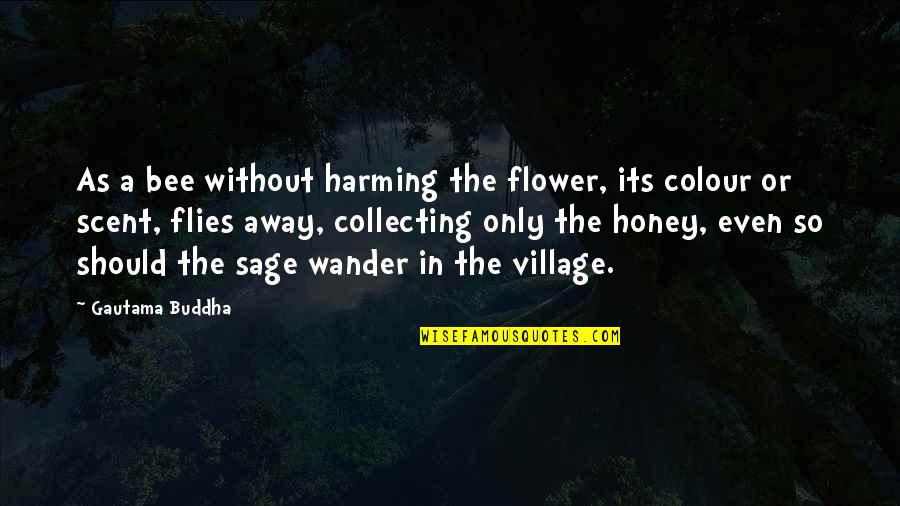 Flies Quotes By Gautama Buddha: As a bee without harming the flower, its