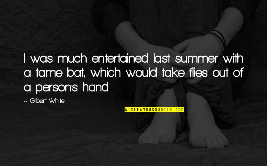 Flies Quotes By Gilbert White: I was much entertained last summer with a