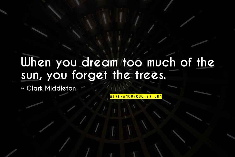 Flieth Quotes By Clark Middleton: When you dream too much of the sun,