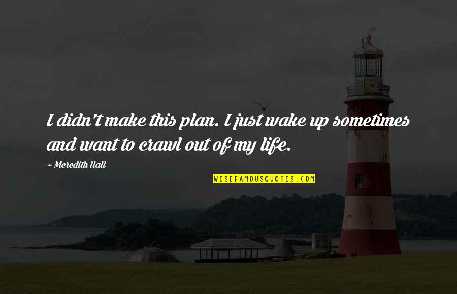 Flight 2012 Quotes By Meredith Hall: I didn't make this plan. I just wake