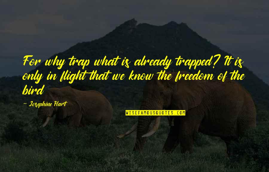 Flight And Freedom Quotes By Josephine Hart: For why trap what is already trapped? It