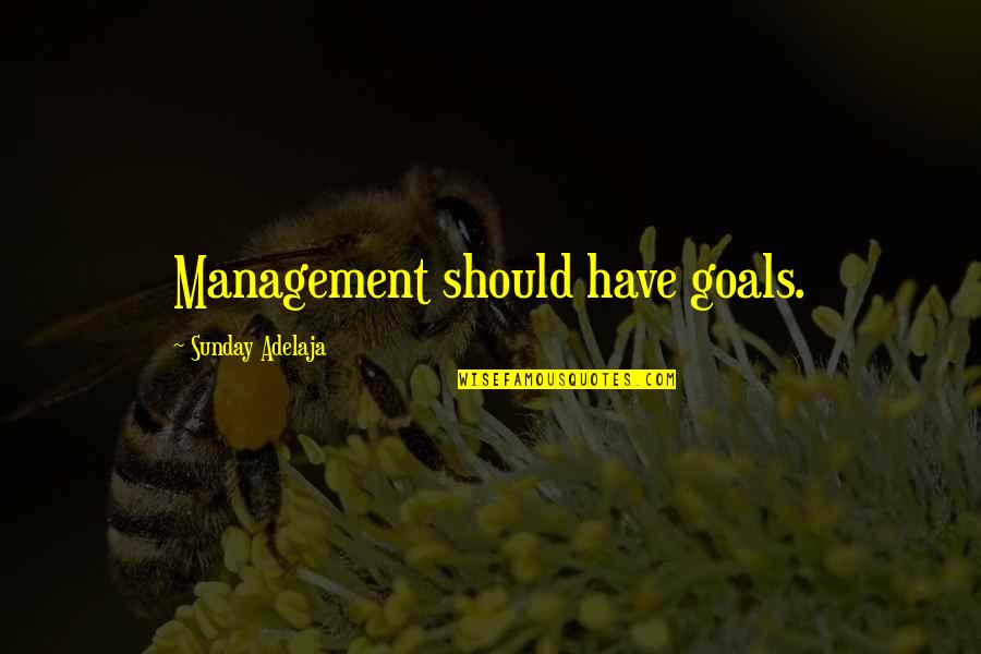 Flight Attendant Love Quotes By Sunday Adelaja: Management should have goals.