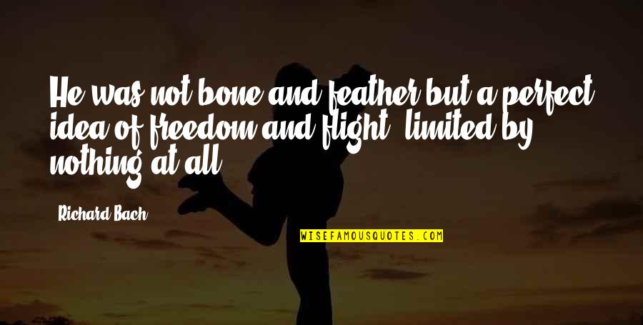 Flight Not Quotes By Richard Bach: He was not bone and feather but a